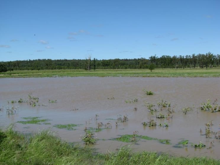 Click to view all images PRICE REDUCED 1052 ACRES CATTLE GRAZING Cecil Plains QLD 4407 - Image 2