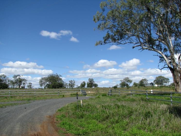 - PRICE REDUCED - Ideal Horse Property Dalby QLD 4405 - Image 2