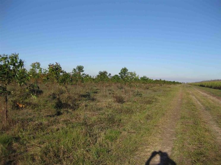 Click to view all images REGION Ingham QLD 4850 - Image 2