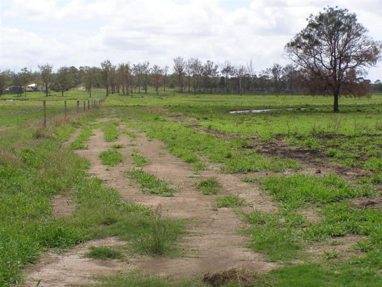 419 Bishop Rd, "Brahma" Garnant QLD 4702 - Image 3
