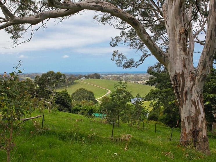 Click to view all images Central Tilba NSW 2546 - Image 1