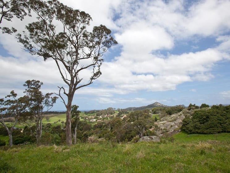 Click to view all images Central Tilba NSW 2546 - Image 3