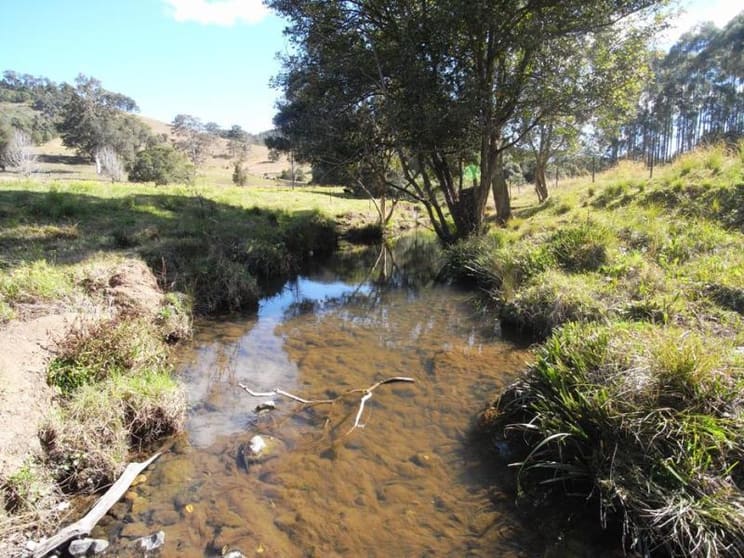 Strathcedar NSW 2429 - Image 3