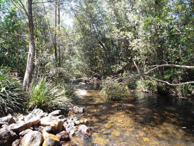 Bobin NSW 2429 - Image 3