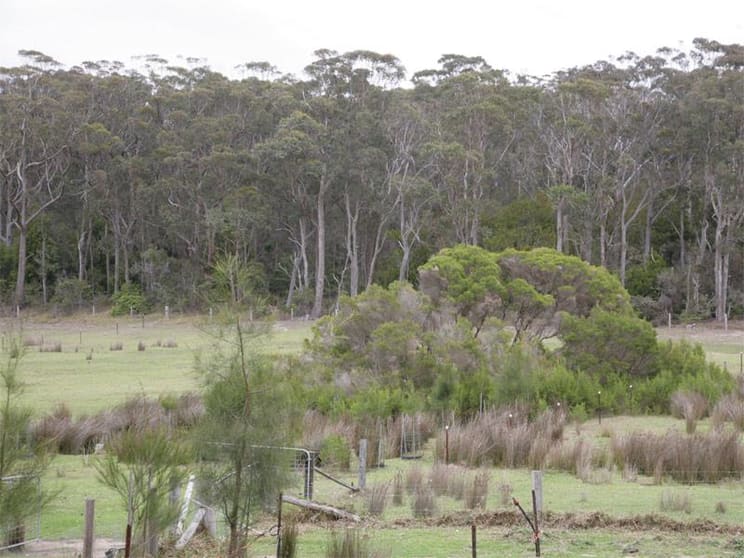 Click to view all images Bermagui NSW 2546 - Image 3