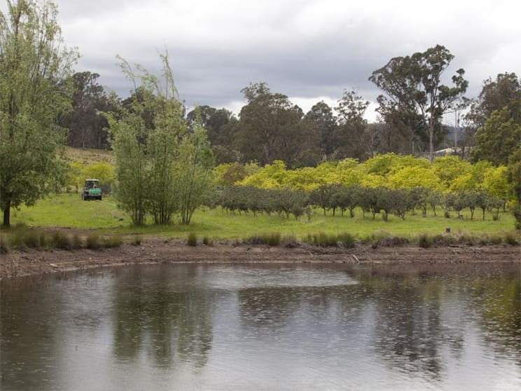Click to view all images Wandella NSW 2550 - Image 1