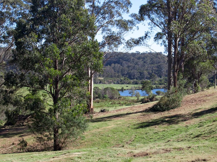 Cuttagee NSW 2546 - Image 1