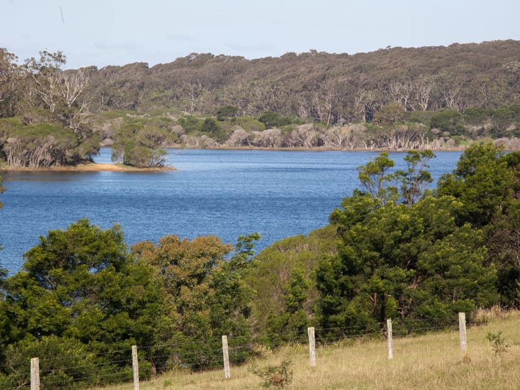 Cuttagee NSW 2546 - Image 2