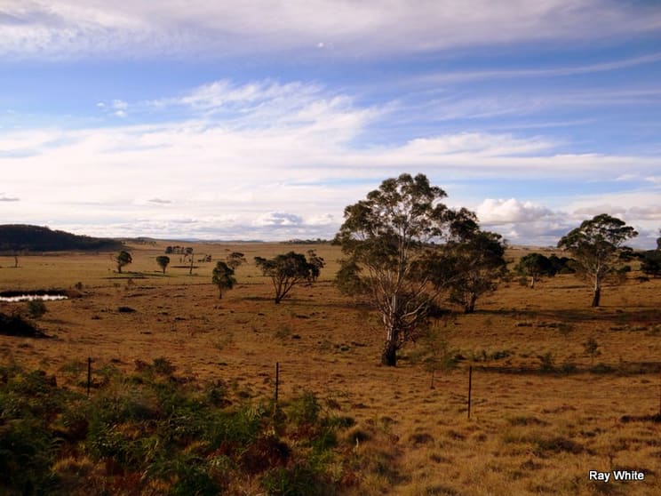 Click to view all images 86 Grey Gums Rd Majors Creek NSW 2622 - Image 1