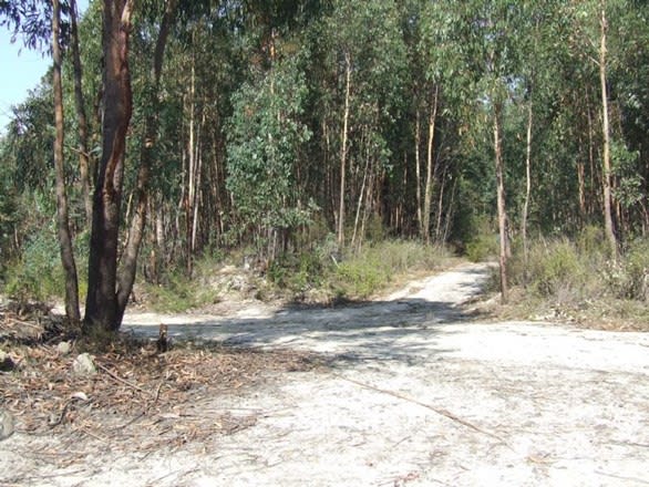 Lot 1 Old Glengarry Road Glengarry VIC 3854 - Image 2