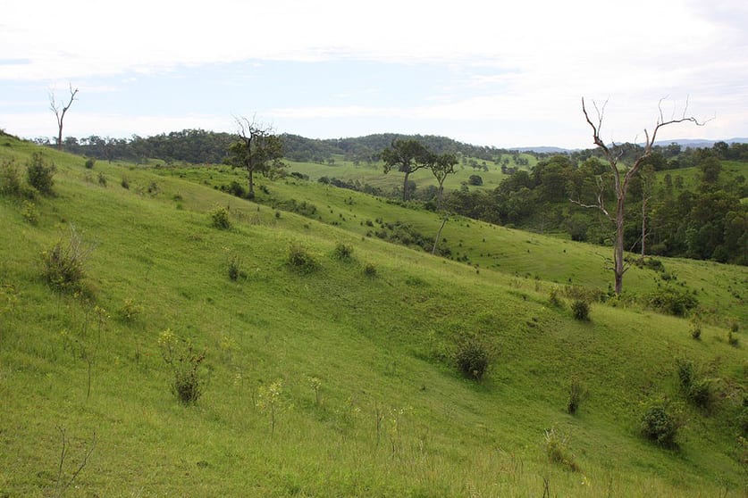 336 Afterlee Road Kyogle NSW 2474 - Image 2