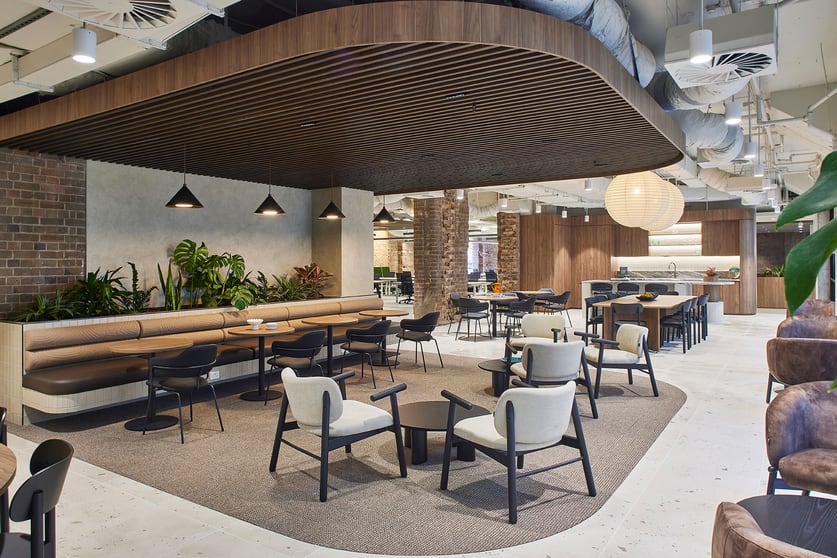 Showrooms / Bulky Goods commercial property for lease at 235 Pyrmont Street Pyrmont NSW 2009