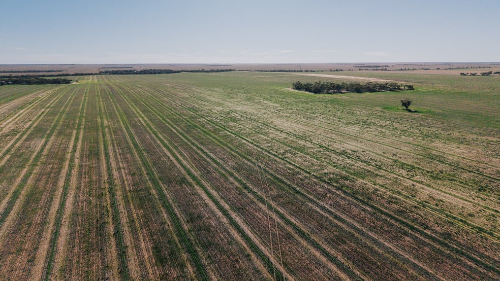 Development / Land commercial property for sale at Stirlings, Pompies & Town Loxton SA 5333 Development / Land commercial property for sale at Stirlings, Pompies & Town Loxton SA 5333