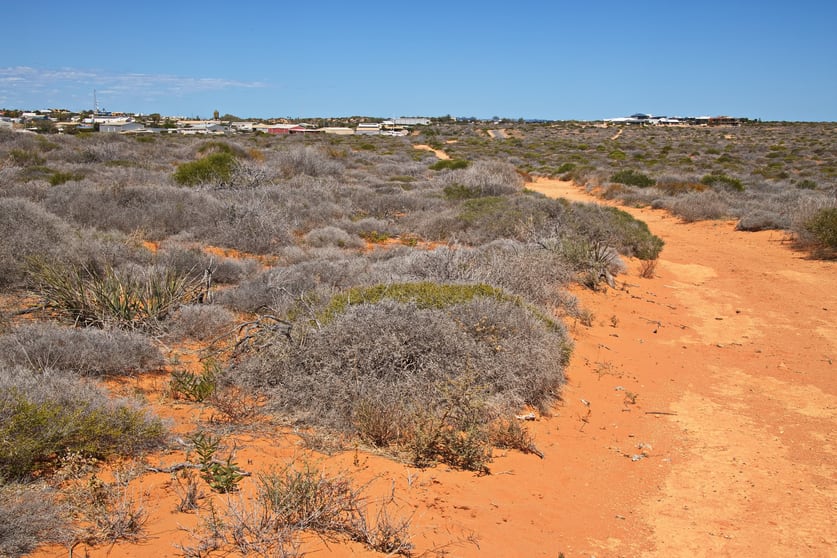 Development / Land commercial property for sale at Denham WA 6537