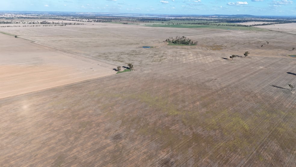 Rural / Farming commercial property for sale at Mid Western Highway Quandialla NSW 2721