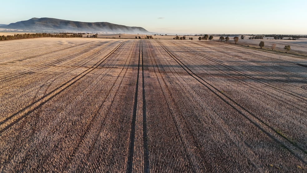 Rural / Farming commercial property for sale at Mid Western Highway Quandialla NSW 2721