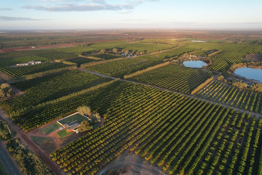 Rural / Farming commercial property for sale at 336 Sculthorpe Road Nangiloc VIC 3494
