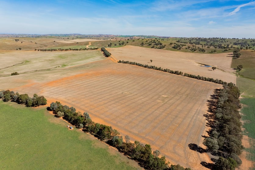 Rural / Farming commercial property for sale at 136 Oivi Lane Wantabadgery NSW 2650