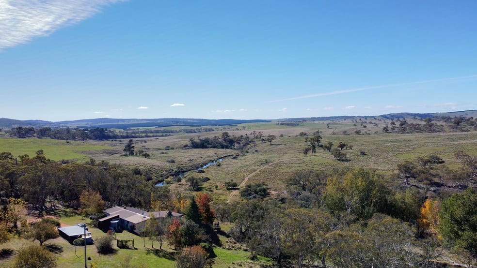 Rural / Farming commercial property for sale at 163 Craigie Road Mila NSW 2632 Rural / Farming commercial property for sale at 163 Craigie Road Mila NSW 2632
