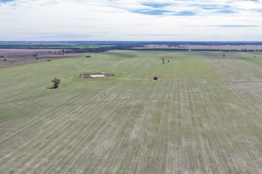 Rural / Farming commercial property for sale at 26446 Newell Highway Moree NSW 2400 Rural / Farming commercial property for sale at 26446 Newell Highway Moree NSW 2400