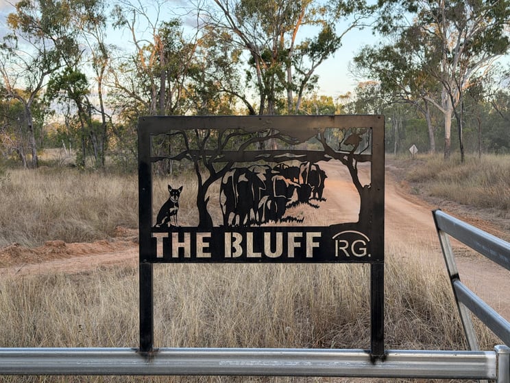 Rural / Farming commercial property for sale at 3153 Bluff Road Seventy Mile QLD 4820 Rural / Farming commercial property for sale at 3153 Bluff Road Seventy Mile QLD 4820