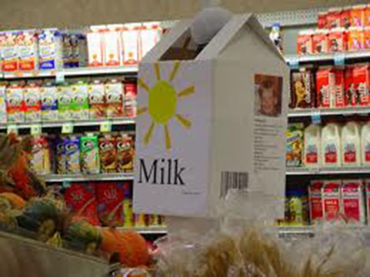 Milk Bar for sale BD-0810
