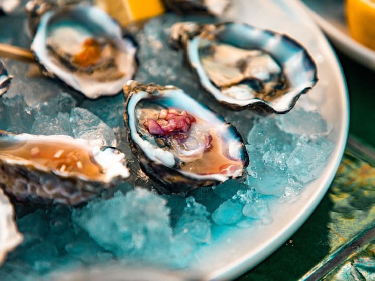 Seafood Retail Business  Heidelberg [2609251]