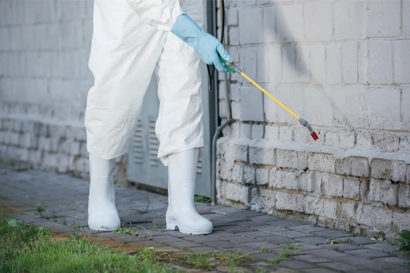 Pest control business for sale Reduced down to $65,000 WIWO Pest control business for sale Reduced down to $65,000 WIWO