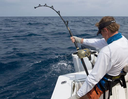 Bait & Tackle Business Gold Coast for Sale Bait & Tackle Business Gold Coast for Sale