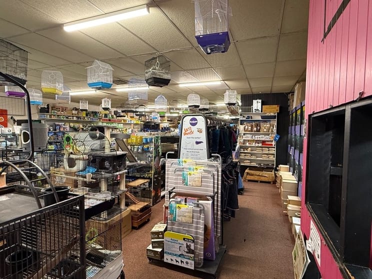 Retail Pet Supplies Business  Tamworth, NSW