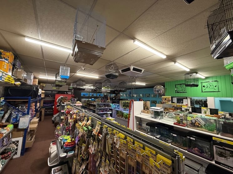 Retail Pet Supplies Business  Tamworth, NSW