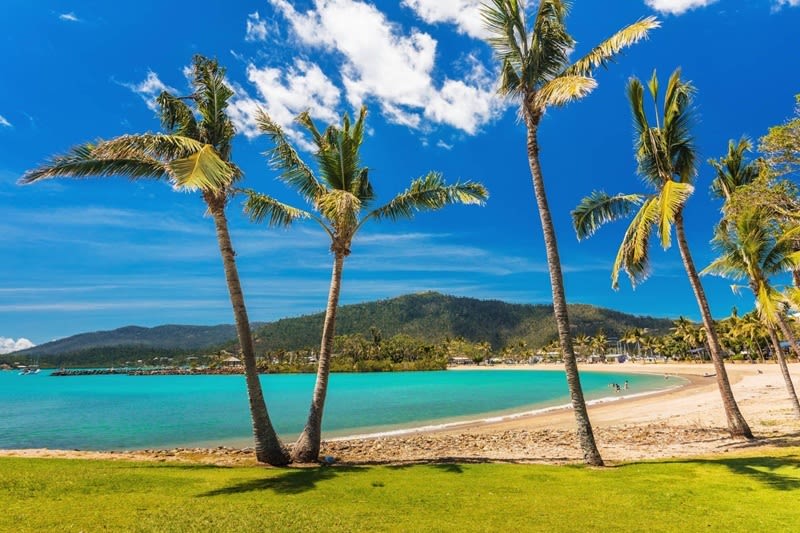 Luxury Whitsundays Resort Business with $463 Net Profit - ID 9194