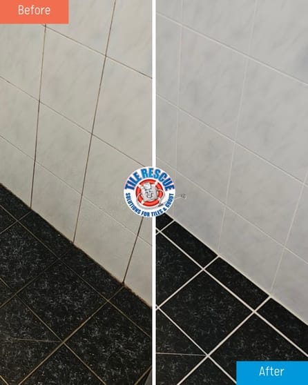 Tile and Grout Repair Business  Randwick, NSW