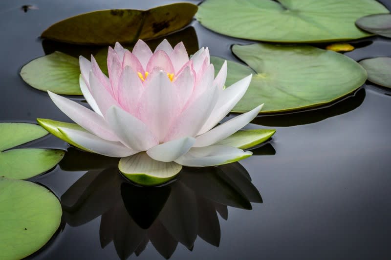 Skin & Beauty Clinic in Brisbane Skin & Beauty Clinic in Brisbane