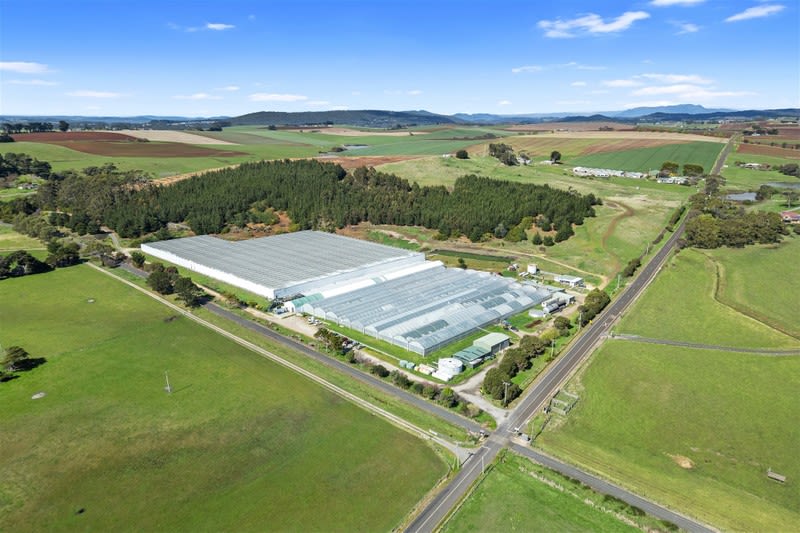 Hydroponic Vegetable Crop Farm - Land, Buildings & Machinery Hydroponic Vegetable Crop Farm - Land, Buildings & Machinery