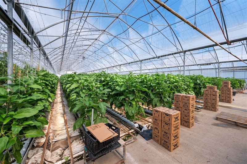 Hydroponic Vegetable Crop Farm - Land, Buildings & Machinery Hydroponic Vegetable Crop Farm - Land, Buildings & Machinery