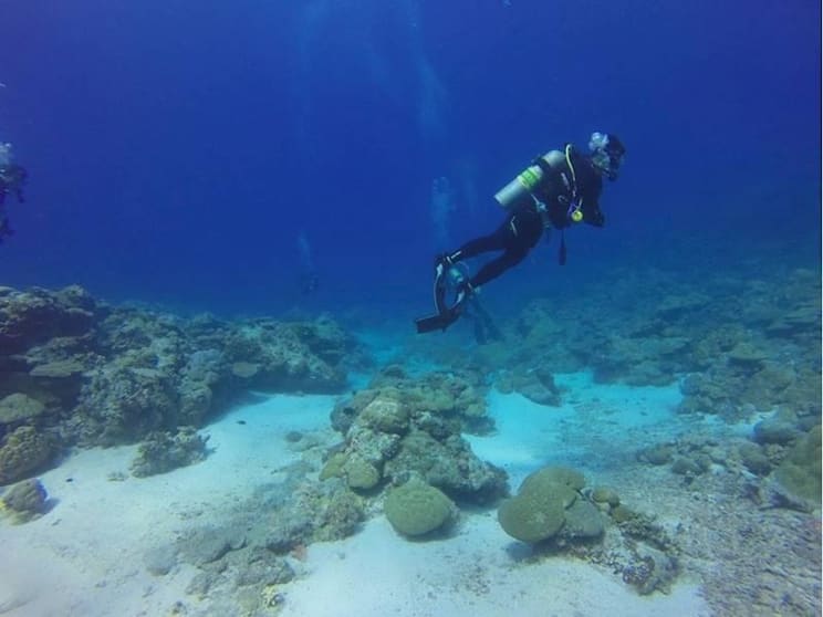 Premium Dive Tourism Business for Sale Premium Dive Tourism Business for Sale