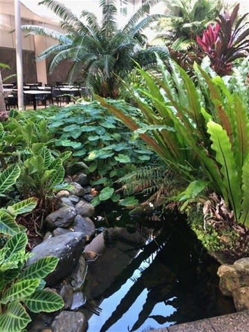 Cairns Courtyard Cafe Cairns Courtyard Cafe