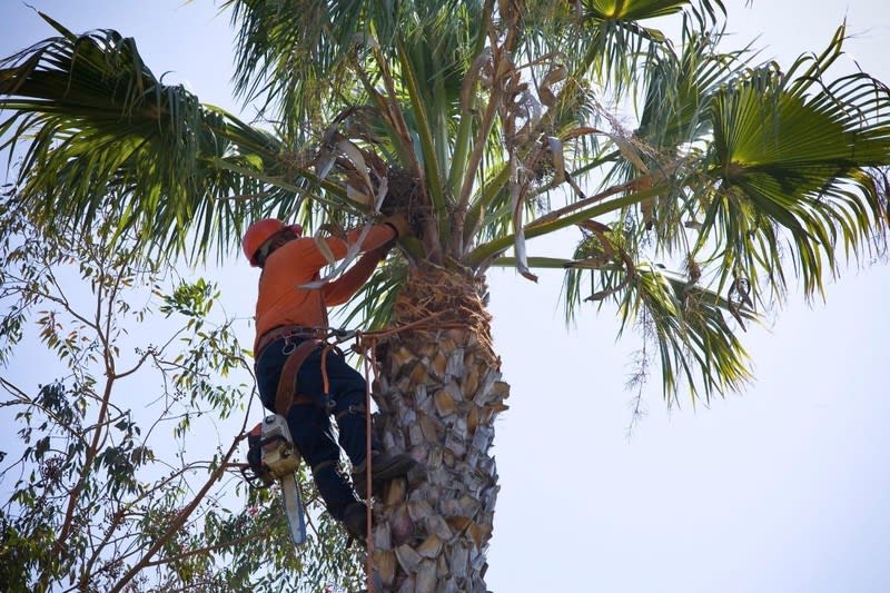 UNDER CONTRACT - High-Performing Arborist Business | ~$1M Revenue | ~$400K+ EBITDA | Team in place UNDER CONTRACT - High-Performing Arborist Business | ~$1M Revenue | ~$400K+ EBITDA | Team in place