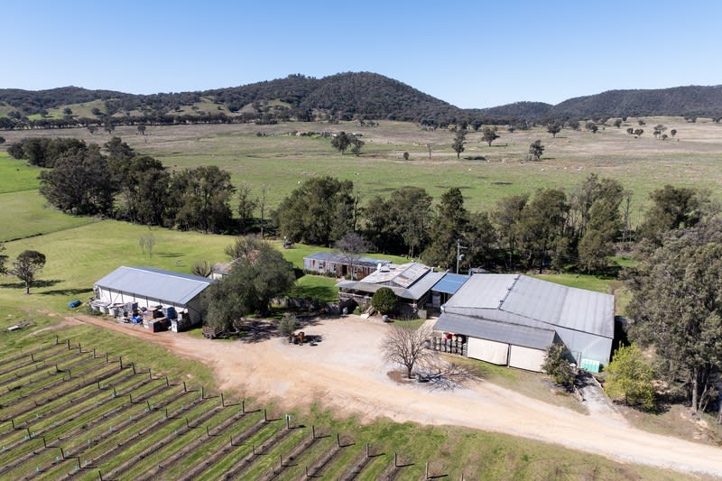 Freehold Sale of Winery in Mudgee