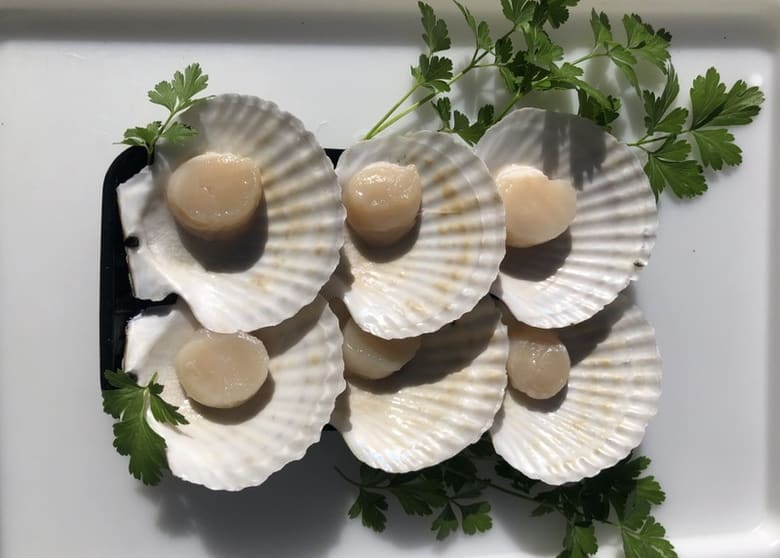 Established Mobile Seafood Retail Business  Three Turnkey Outlets Included