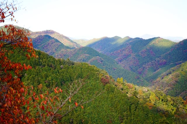 020520251620_image16.jpg