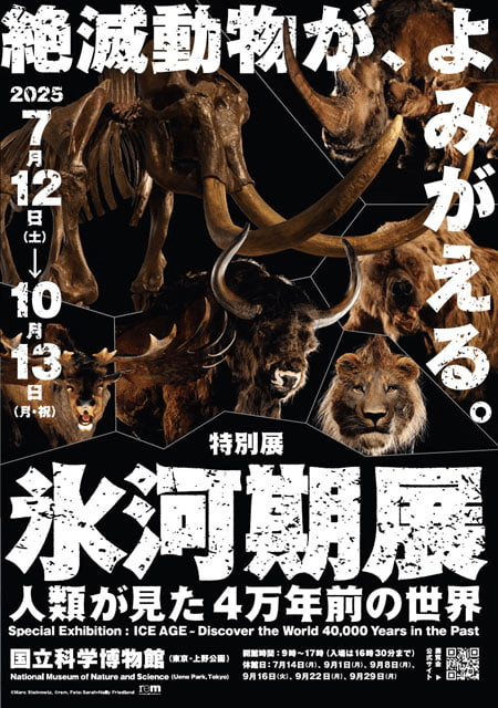 130720251059_image9.png