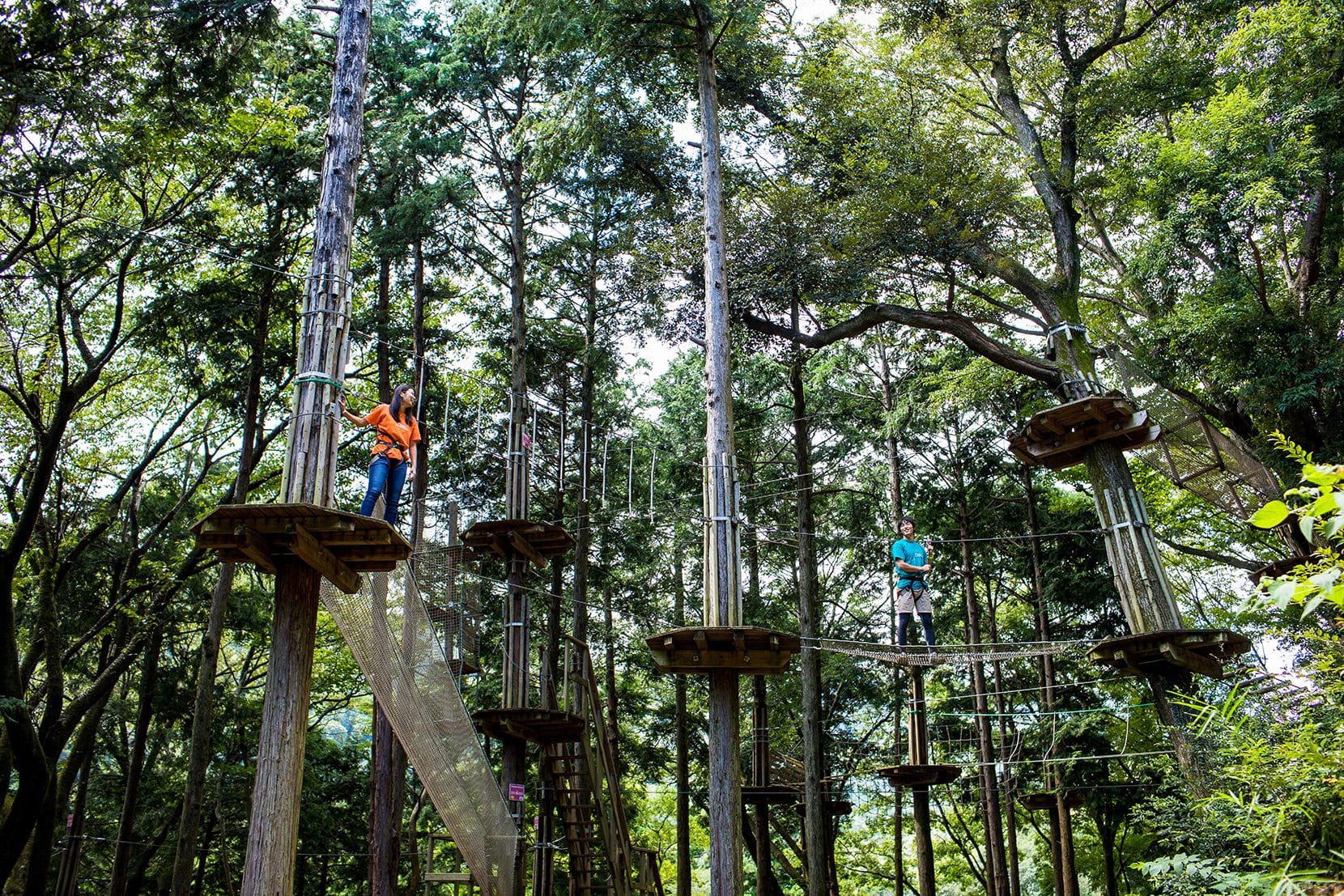 Forest Adventure Hakone