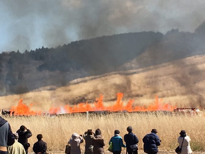 Sengokubara Susuki Prairie Burning