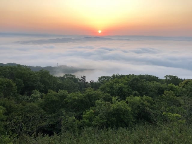 220720251934_image11.jpg