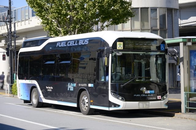 Bus: Around 20 Minutes