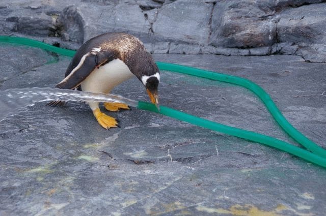 Things to Enjoy in Asahikawa