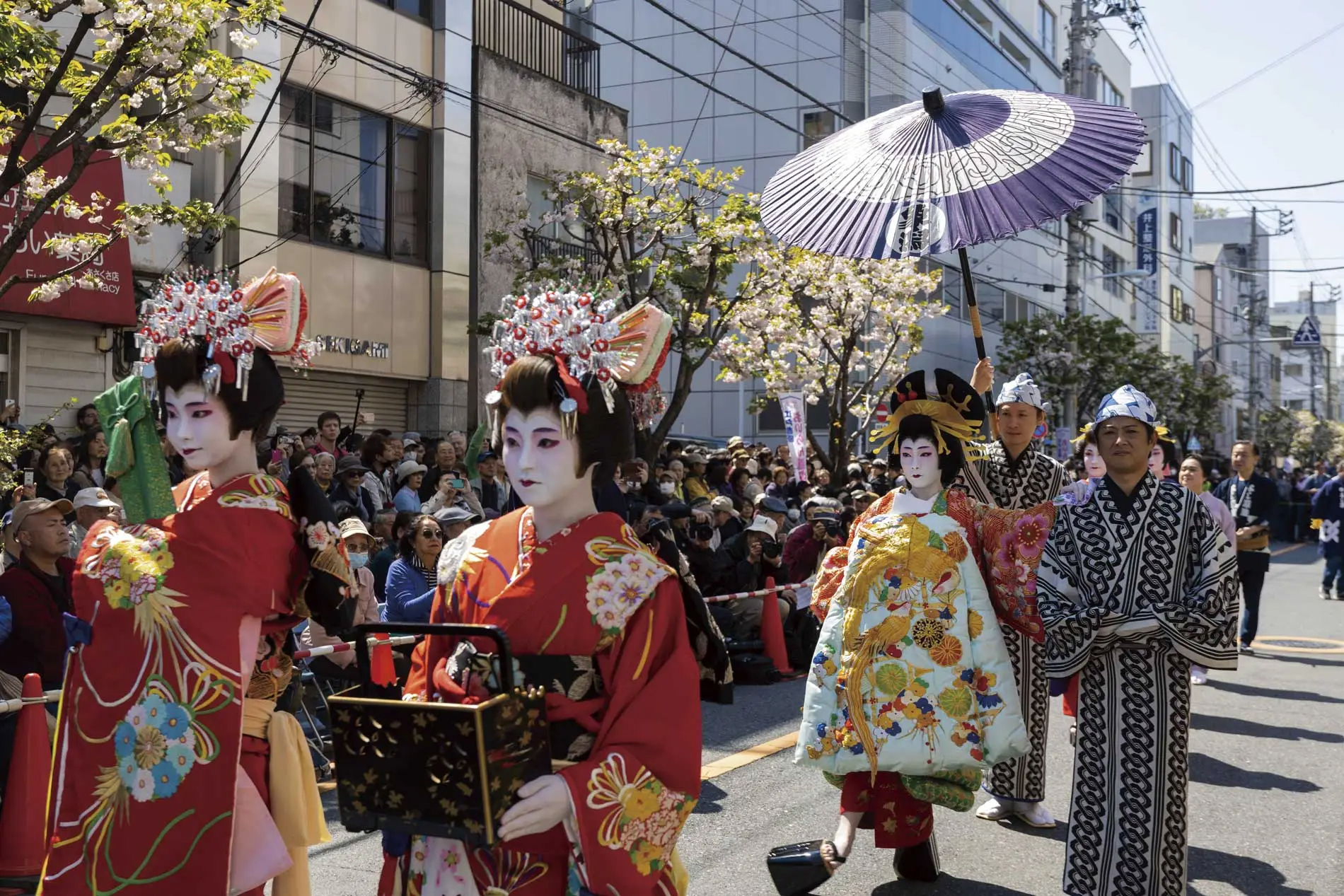 Asakusa Kannon-ura Ichiyo Sakura Festival
