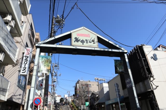 Bikkuri-ichi (Surprise Market)
